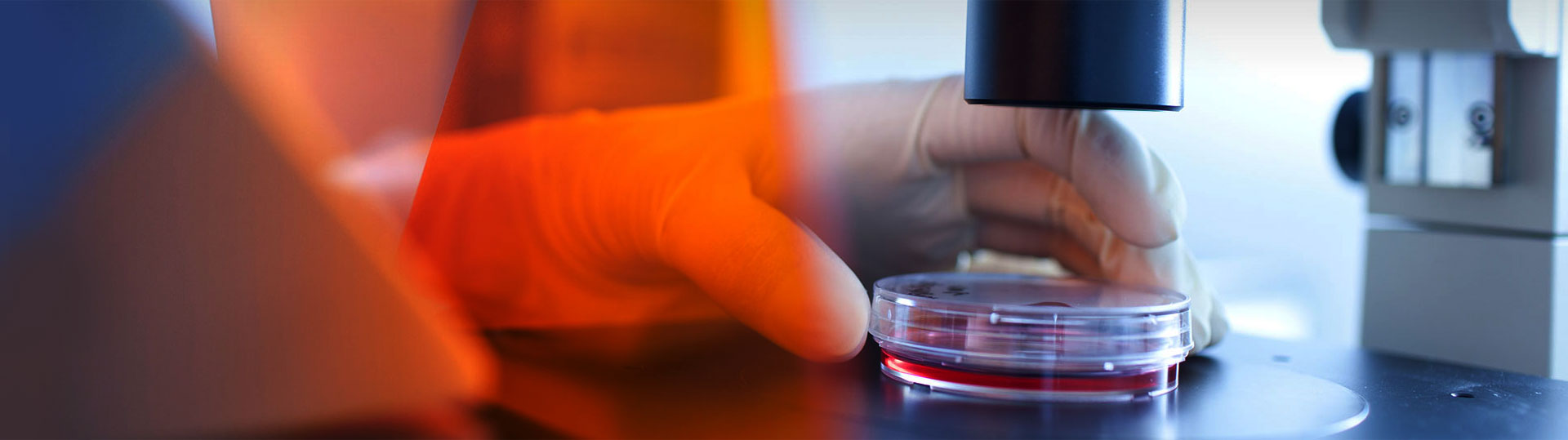 上海豪登实业有限公司